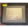 Image 1 : PHOTOGRAPH SPIDER WEB 12" X 15"