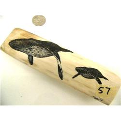 7" ivory scrimshawed with 2 whales by Homer Cole (2)
