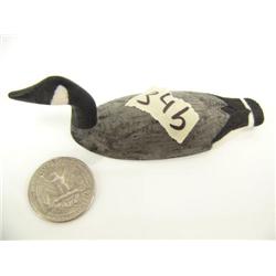 CHOICE on 5 Al Mayac birds: Canadian goose (2)