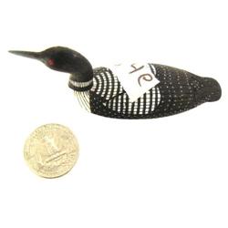 CHOICE on 5 Al Mayac birds: common loon stock #634F (2)