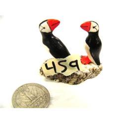 CHOICE on 2: Rookery with 2 puffins by RB Kokuluk (2)