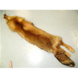 CHOICE on 3: Fox Pelts (2)