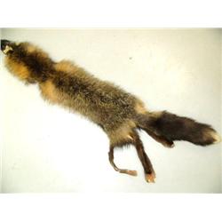 CHOICE on 3: Fox Pelts (2)