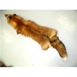 CHOICE on 3: Fox Pelts (2)