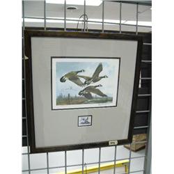 Limited Edition Print of 1984 Oregon Waterfowl Stamp print by Michael Sieve, number 10,829 of 11,825