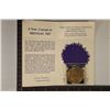 Image 2 : THE WORLDS FAIR 21 CENTURY EXPOSITION OFFICIAL