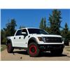 Image 2 : 2011 FORD RAPTOR