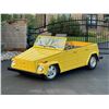 Image 1 : 1973 VOLKSWAGEN THING