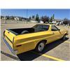 Image 3 : 1976 FORD RANCHERO