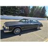 Image 3 : 1981 CADILLAC SEVILLE