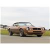 Image 1 : 1979 CHEVROLET CAMARO Z28
