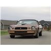 Image 2 : 1979 CHEVROLET CAMARO Z28