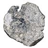 Image 2 : 8 Reale Atocha w/ Cert (Raw Grade 4)