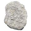Image 2 : 4 Reale Atocha w/ Cert (Raw Grade 4)