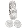 Image 2 : [20] 1995 Silver Eagle Roll