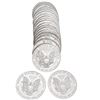 Image 2 : [20] 1995 Silver Eagle Roll
