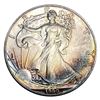 Image 3 : [20] 1990 Silver Eagle Roll