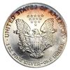 Image 4 : [20] 1990 Silver Eagle Roll