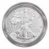 2010 Am. Eagle 1oz. Silver Proof Coin