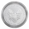 Image 2 : 2010 Am. Eagle 1oz. Silver Proof Coin