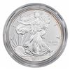 2013 Am. Eagle 1oz. Silver Proof Coin