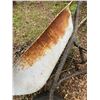 Image 2 : Wheel barrow