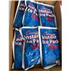 Image 1 : Instant ice packs