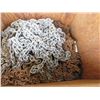 Image 2 : Wooden Bin of Misc Chain