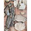 Image 8 : A Large Grouping Of Fossilized items, Coral Marine Life Ammonite Shark Tooth Etc.
