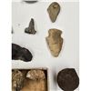 Image 10 : A Large Grouping Of Fossilized items And Artifacts See Pics INTERESTING LOT!