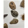 Image 11 : A Large Grouping Of Fossilized items And Artifacts See Pics INTERESTING LOT!