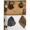 Image 14 : A Large Grouping Of Fossilized items And Artifacts See Pics INTERESTING LOT!