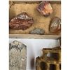 Image 15 : A Large Grouping Of Fossilized items And Artifacts See Pics INTERESTING LOT!