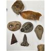 Image 19 : A Large Grouping Of Fossilized items And Artifacts See Pics INTERESTING LOT!