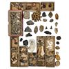 Image 1 : A Large Grouping Of Fossilized items And Artifacts See Pics INTERESTING LOT!