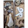 Image 23 : A Large Grouping Of Fossilized items And Artifacts See Pics INTERESTING LOT!
