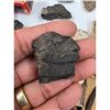 Image 25 : A Large Grouping Of Fossilized items And Artifacts See Pics INTERESTING LOT!