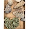 Image 27 : A Large Grouping Of Fossilized items And Artifacts See Pics INTERESTING LOT!
