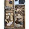 Image 2 : A Large Grouping Of Fossilized items And Artifacts See Pics INTERESTING LOT!