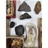 Image 6 : A Large Grouping Of Fossilized items And Artifacts See Pics INTERESTING LOT!