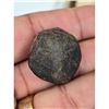 Image 10 : A Large Grouping Of Fossilized items And Artifacts See Pics INTERESTING LOT!