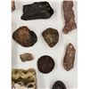 Image 11 : A Large Grouping Of Fossilized items And Artifacts See Pics INTERESTING LOT!