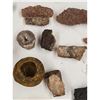 Image 13 : A Large Grouping Of Fossilized items And Artifacts See Pics INTERESTING LOT!