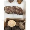 Image 16 : A Large Grouping Of Fossilized items And Artifacts See Pics INTERESTING LOT!