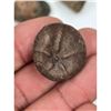 Image 17 : A Large Grouping Of Fossilized items And Artifacts See Pics INTERESTING LOT!