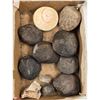 Image 29 : A Large Grouping Of Fossilized items And Artifacts See Pics INTERESTING LOT!