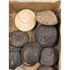 Image 6 : A Large Grouping Of Fossilized items And Artifacts See Pics INTERESTING LOT!