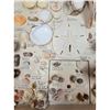 Image 5 : A Large Collection Of Unusual Florida Seashells With Labels (AMAZING)