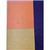 Image 2 : Ellsworth Kelly-Offset Modernist Lithograph Unframed