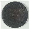 Image 1 : Canadian Large Cent 1893 AU ++